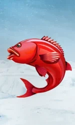 Ice Fishing