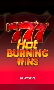 Playson Hot Burning Wins